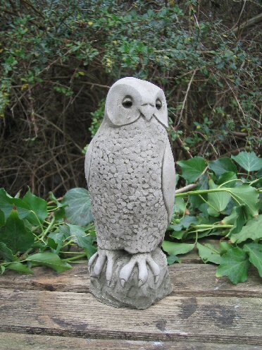 KA58 Small Owl KA58 Small Owl